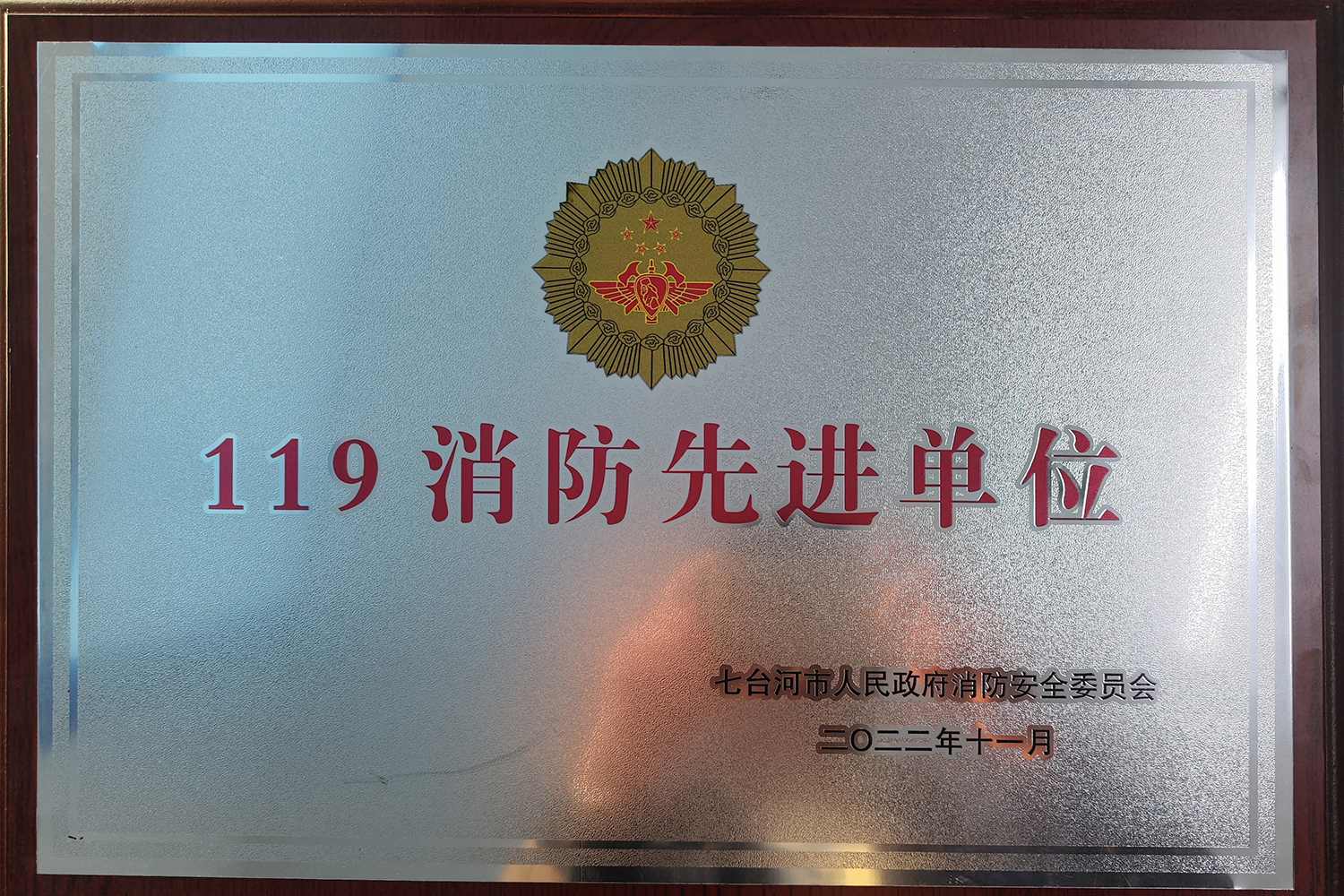 2022年被评七台河市“119消防先进单位”(图1)